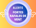 21/11 : Tempête Caetano - Vents forts